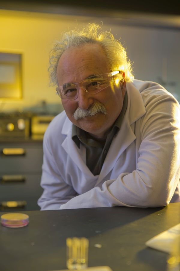 Evgeny Katz